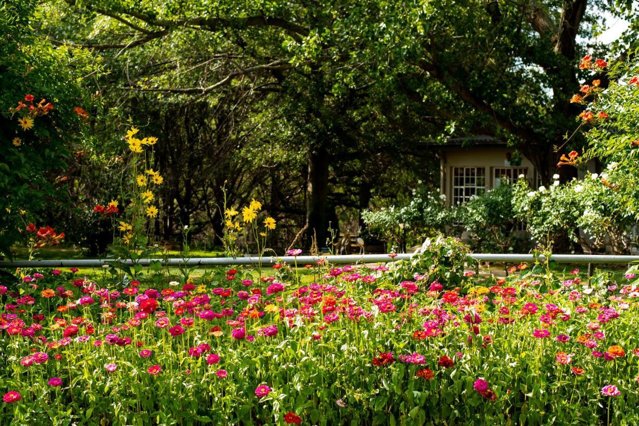 Wetlands Country House & Sheds Wakkerstroom Bagian luar foto