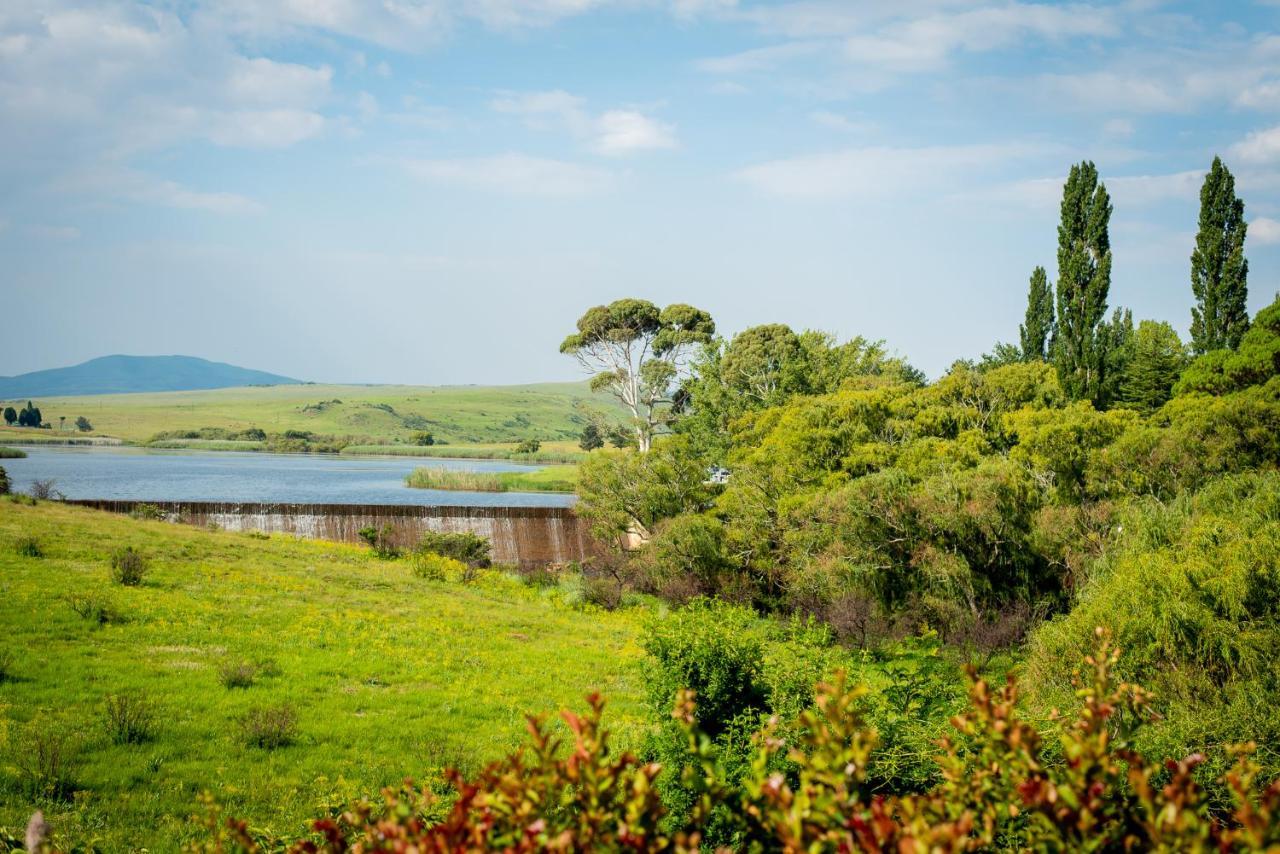 Wetlands Country House & Sheds Wakkerstroom Bagian luar foto